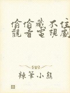 偷偷藏不住在线观看电视剧免费观看