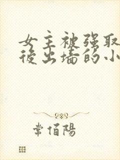 女主被强取豪夺后出墙的小说