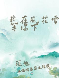 我在风花雪月里等你下