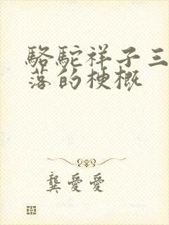 骆驼祥子三起三落的梗概