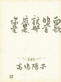 你应该明白我的爱是哪首歌的歌词