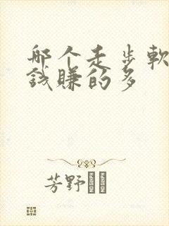 哪个走步软件赚钱赚的多