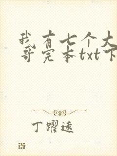 我有七个大佬哥哥完本txt下载