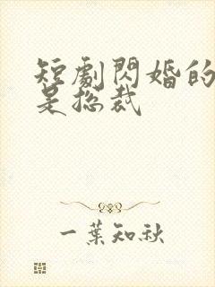 短剧闪婚的老公是总裁