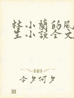 林小兰的风流人生小说全文免费