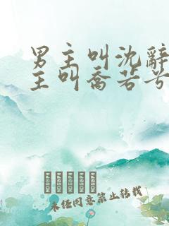 男主叫沈辞安女主叫乔若兮免费阅读