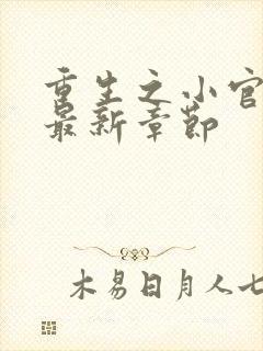 重生之小官千金最新章节