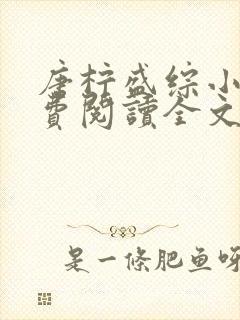 唐柠盛综小说免费阅读全文最新章节