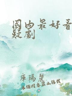 国内最好看的悬疑剧