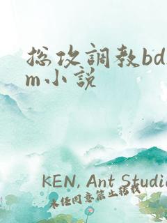 总攻调教bdsm小说