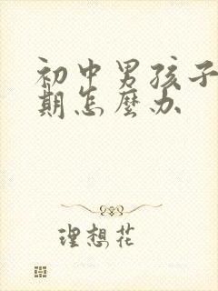 初中男孩子叛逆期怎么办