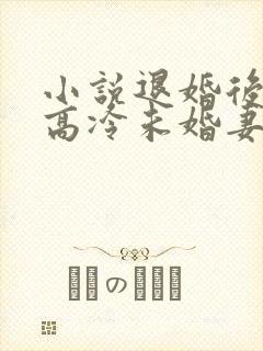 小说退婚后我的高冷未婚妻后悔了下载