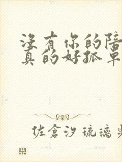 没有你的陪伴我真的好孤单是什么歌