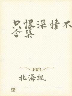 只恨深情不识鸢合集