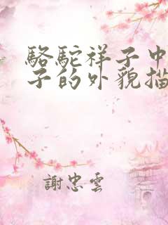 骆驼祥子中对祥子的外貌描写