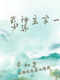 武神主宰一共多少集