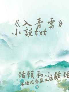 《入青云》原著小说txt