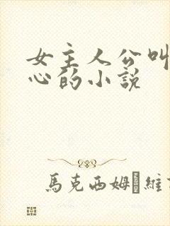 女主人公叫姜倾心的小说