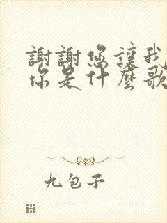 谢谢您让我遇见你是什么歌