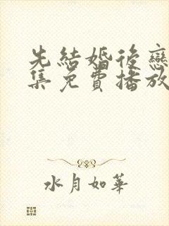 先结婚后恋爱全集免费播放在线观看