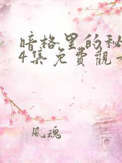 暗格里的秘密24集免费观看电视剧