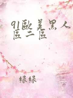 91欧美黑人一区二区