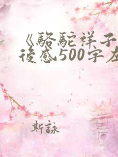《骆驼祥子》读后感500字左右