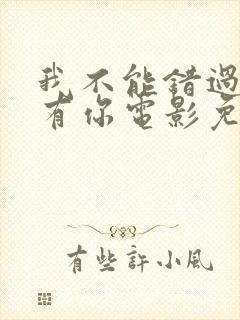 我不能错过的只有你电影免费播放