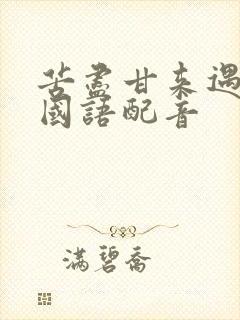 苦尽甘来遇见你国语配音