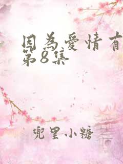 因为爱情有奇迹第8集