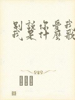 别说你爱我你想我是什么歌