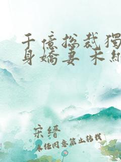 千亿总裁独宠替身娇妻 禾维