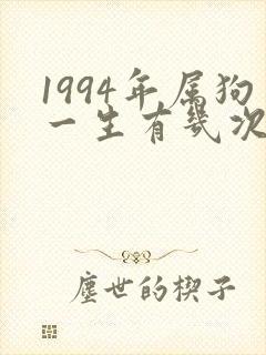 1994年属狗一生有几次婚姻