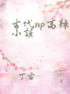 古代np高辣文小说