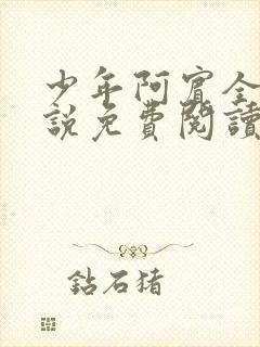 少年阿宾全文小说免费阅读