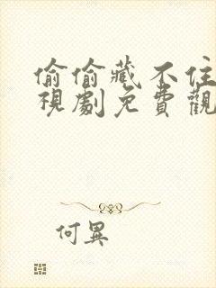 偷偷藏不住你电视剧免费观看