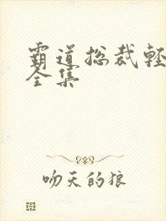 霸道总裁轻点爱全集