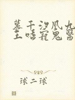 慕千汐凰九夜邪王嗜宠鬼医狂妃