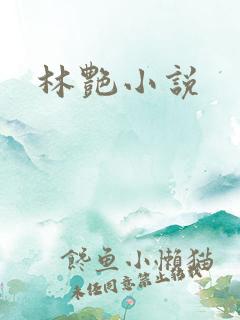 林艳小说