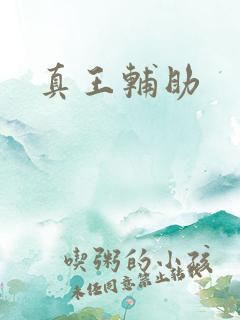 真王辅助
