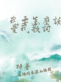 我要怎么说你才爱我歌词
