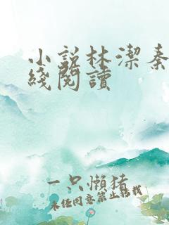 小说林洁秦齐在线阅读