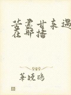 苦尽甘来遇见你在哪播