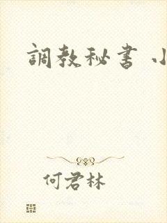 调教秘书 小说