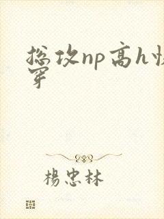 总攻np高h快穿