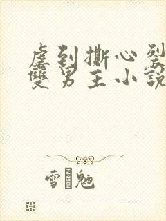 虐到撕心裂肺的双男主小说