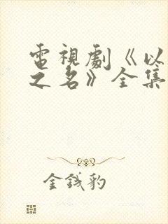 电视剧《以家人之名》全集免费观看