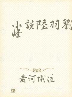 小说陆羽刘云峰峰