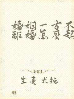 婚姻一方不愿意离婚怎么起诉