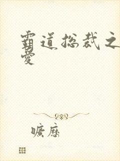 霸道总裁之轻轻爱